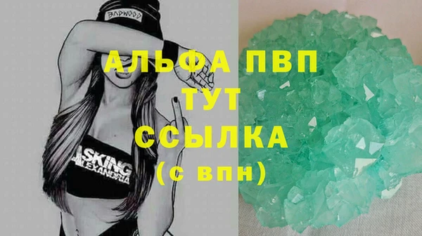 индика Алагир