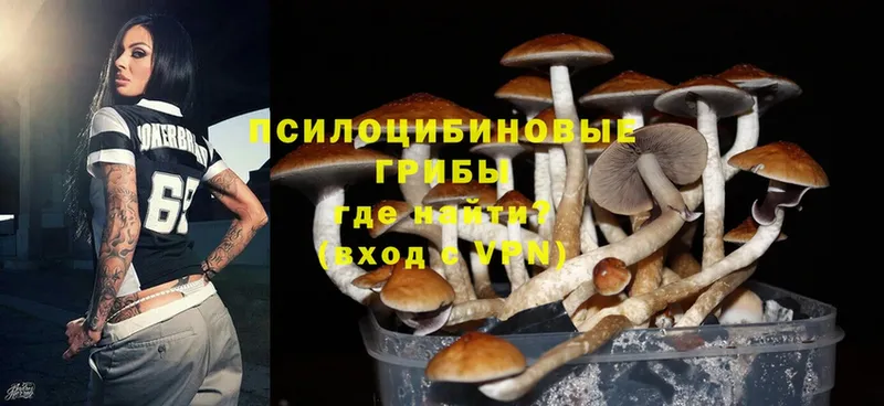 купить  цена  Изобильный  Псилоцибиновые грибы MAGIC MUSHROOMS 