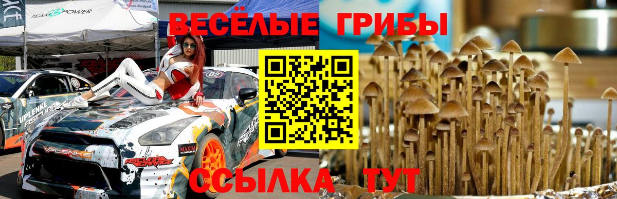 Галлюциногенные грибы MAGIC MUSHROOMS  Вход с VPN  Псилоцибиновые грибы прущие грибы  Изобильный 