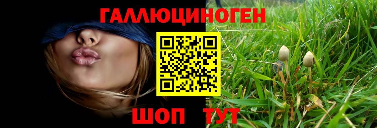 Псилоцибиновые грибы MAGIC MUSHROOMS  Псилоцибиновые грибы Psilocybe  Изобильный 