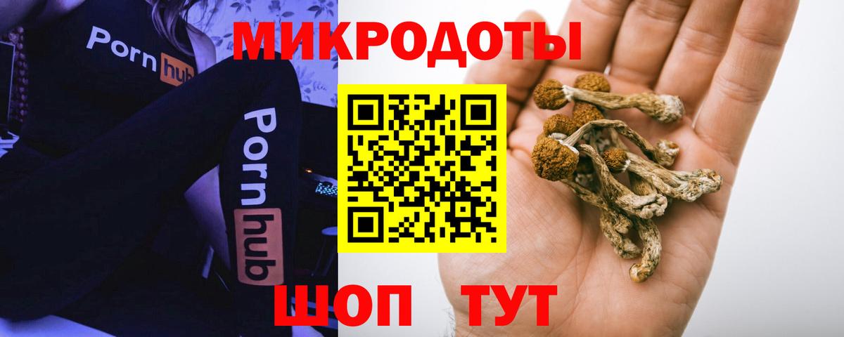 Галлюциногенные грибы GOLDEN TEACHER Изобильный